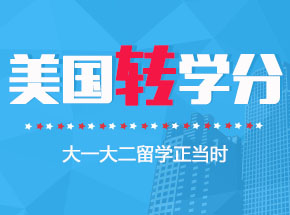 D(zhun)W(xu)Ո
